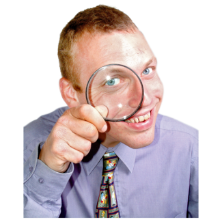 Inspector